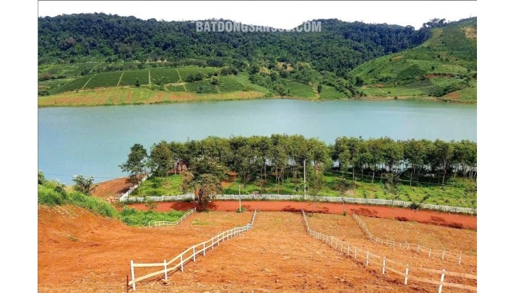 ĐẤT 598M² (CLN – QUY HOẠCH THỔ CƯ) – VIEW HỒ, VỊ TRÍ ĐẮC ĐỊA HỒ NGỌC